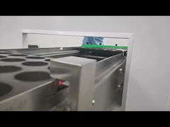 베이커리 생산 라인, 햄버거 빵, 토스트, 덴마크 빵,