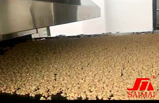 PLC Control 1000Kg/H Hygiene Granola Production Line