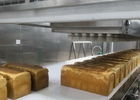 Bread Pick Up Suction Depanner